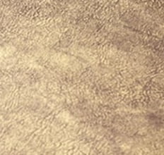 Аликанте горчица