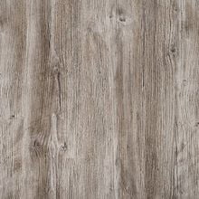 Сосна Нордик