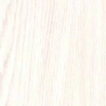 Дуб Беленый