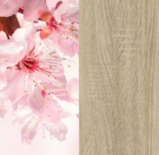 Сакура/Дуб сонома