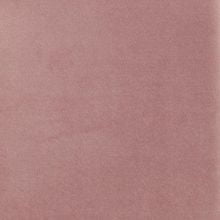 Лавандовый barkhat 17