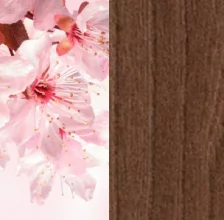 Сакура/Шимо тёмный