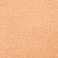 Consul Sablia (кожа)