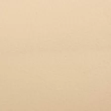 Экокожа бежевая (411)