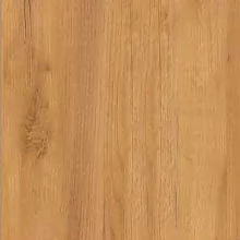 Дуб золотой