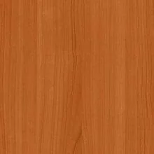 Вишня Оксфорд