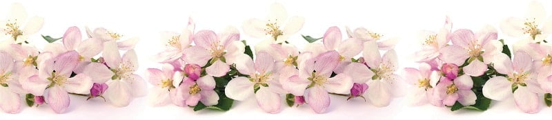 Глянцевый фартук (КОМПОЗИТ) KM 242