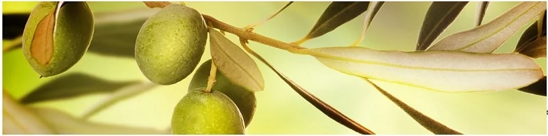 Глянцевый фартук (МДФ) AG 18