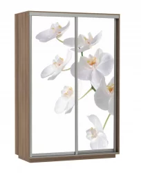 Шкаф-купе двухдверный Экспресс Дуо 1400х2200х Белая орхидея/Ясень шимо тёмный / 1400х2200h