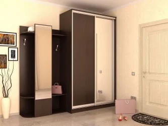 Черный шкаф-купе Хит-24-12-15 Аруба Венге