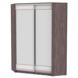 Шкаф-купе YA-198х1250-1(ЯАТ-ЯАС-D2D2)