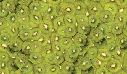 Стол обеденный Универсальный фп Киви Е005 ЛДСП серый