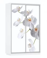 Шкаф-купе двухдверный Экспресс Дуо 1400х2200х Белая орхидея/Белый снег / 1400х2200h
