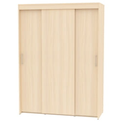 Шкаф-купе T-3-198х145х45(ДМ-1)