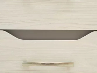 Шкаф-пенал (лев) Мегаполис 55.22.1