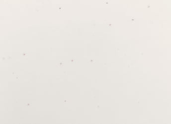 Мойка врезная М17 белая