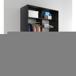 Шкаф-купе 2-х дверный Акцент-Сим Д 1400х600 Венге