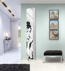 Шкаф в гостиную Лупо Шелф Арт Венге