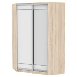 Шкаф-купе YA-230х1400-718-1(ДСС-Белый-D1D2)