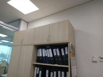 Настенный шкаф Twin 16.13.131 Туя