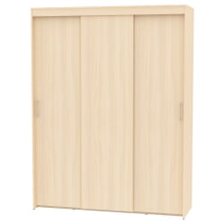 Шкаф-купе T-3-230х175х60(ДМ-1)