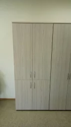 Шкаф высокий закрытый Glassy 6.19.131 Туя