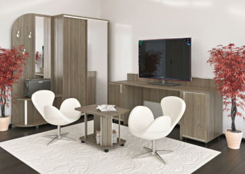 Шкаф-купе для одежды LIGHT С-ШКЗ-65 Вяз Благородный