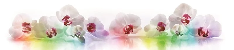 Глянцевый фартук (КОМПОЗИТ) KM 229