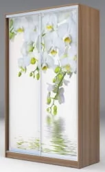 Шкаф-купе коричневый Хит-23-12-77 Орхидея Ясень шимо темный