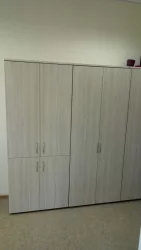 Шкаф высокий закрытый Glassy 6.19.131 Туя