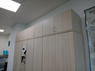 Настенный шкаф Twin 16.13.131 Туя