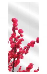 Шкаф в гостиную Хоп Шелф Арт Молочный дуб