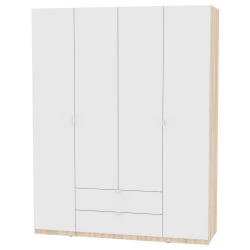 Шкаф распашный R-230х180х45-2-TR(ДСС-Белый)