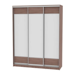 Шкаф-купе B-220х180х60-2(ЯШТ-D8D8D8)