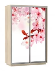 Шкаф-купе двухдверный Экспресс Дуо 1400х2200h Сакура/Ясень шимо светлый