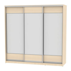 Шкаф-купе B-230х235х60-3(ДМ-D8D8D8)