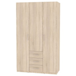 Шкаф распашный R-230х135х60-3(ДСС)