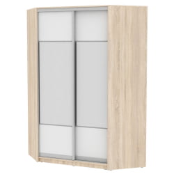 Шкаф-купе YA-230х1400-718-5(ДСС-Белый-D3D3)