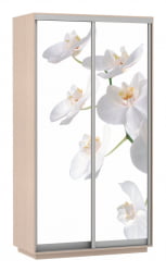 Шкаф-купе двухдверный Экспресс Дуо 1200х2200h Орхидея белая/Дуб молочный
