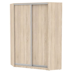 Шкаф-купе YA-198х1250-1(ДСС-D6D6)
