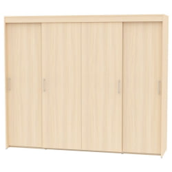 Шкаф-купе T-5-198х235х45(ДМ-10)