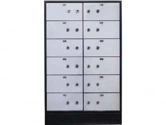 Депозитная ячейка ДБ-12 С.ДГЛ / DB-12 S.DGL