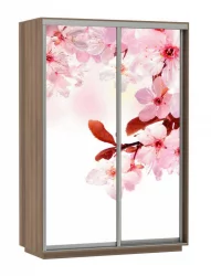 Шкаф-купе двухдверный Экспресс Дуо 1600х2200h Сакура/Ясень шимо тёмный