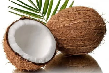 Наматрасник корректирующий Кокос+Латекс 80-200