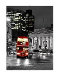 Шкаф-купе с фотопечатью Экспресс Хит Лондон/Ясень шимо тёмный