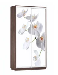 Шкаф-купе двухдверный Экспресс Дуо 1200х2200х Орхидея белая/Венге / 1200х2200h