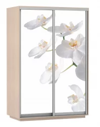 Шкаф-купе двухдверный Экспресс Дуо 1400х2200х Белая орхидея/Дуб молочный / 1400х2200h