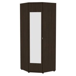 Шкаф распашный Алиса(H6_M2) 2230х854х854 с торцевой ручкой (Венге)