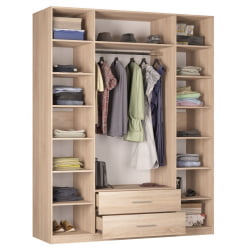 Шкаф распашный R-230х180х60-2(ДМ)