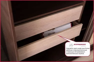 Шкаф-купе с фотопечатью Хит-24-17-77 Лондон Аруба Венге